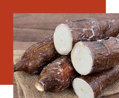 Yuca